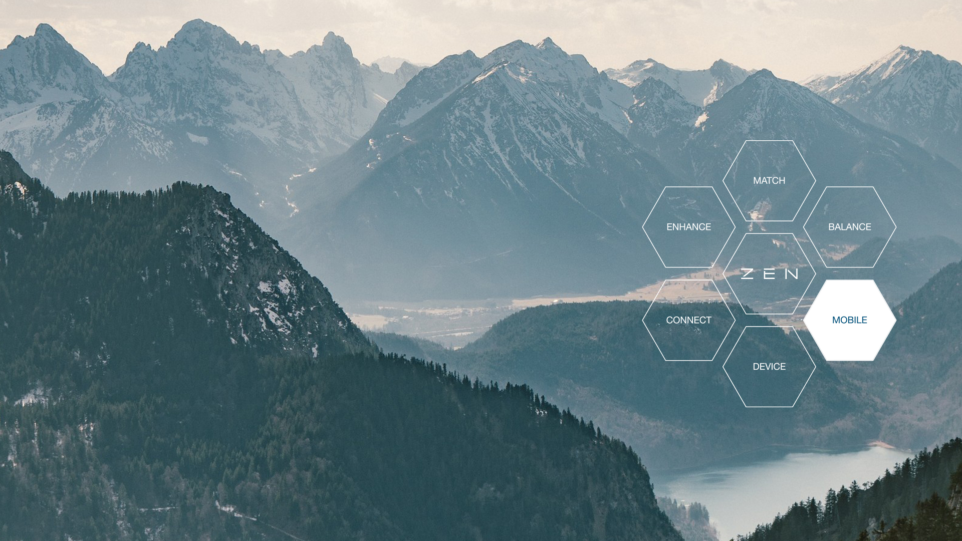 programvare kontanthåndtering. butikkoptimalisering